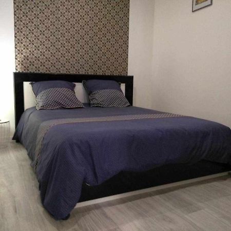 Joli Petit Logement En Centre Ville De Бриуд Экстерьер фото